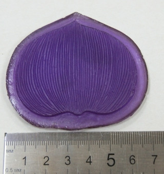 st-0002